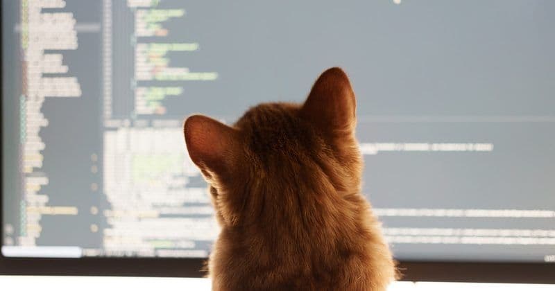 Когда маршрутизация идеальна, а точность падает: урок из CIFAR-100