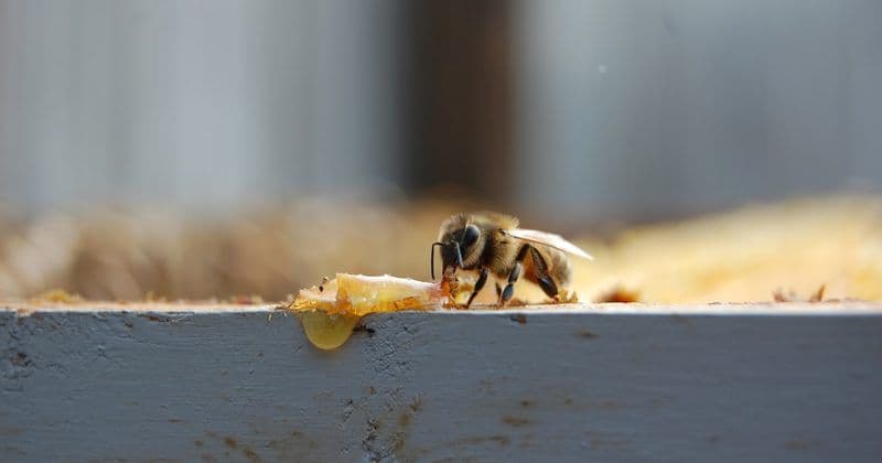 Когда дефолт становится врагом UX: история из OpenClaw