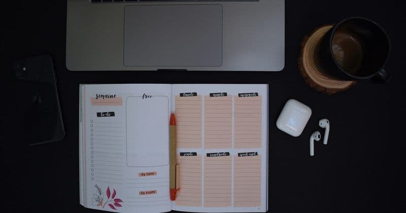 Эксперименты, которые показали, что нейросеть не готова расти сама