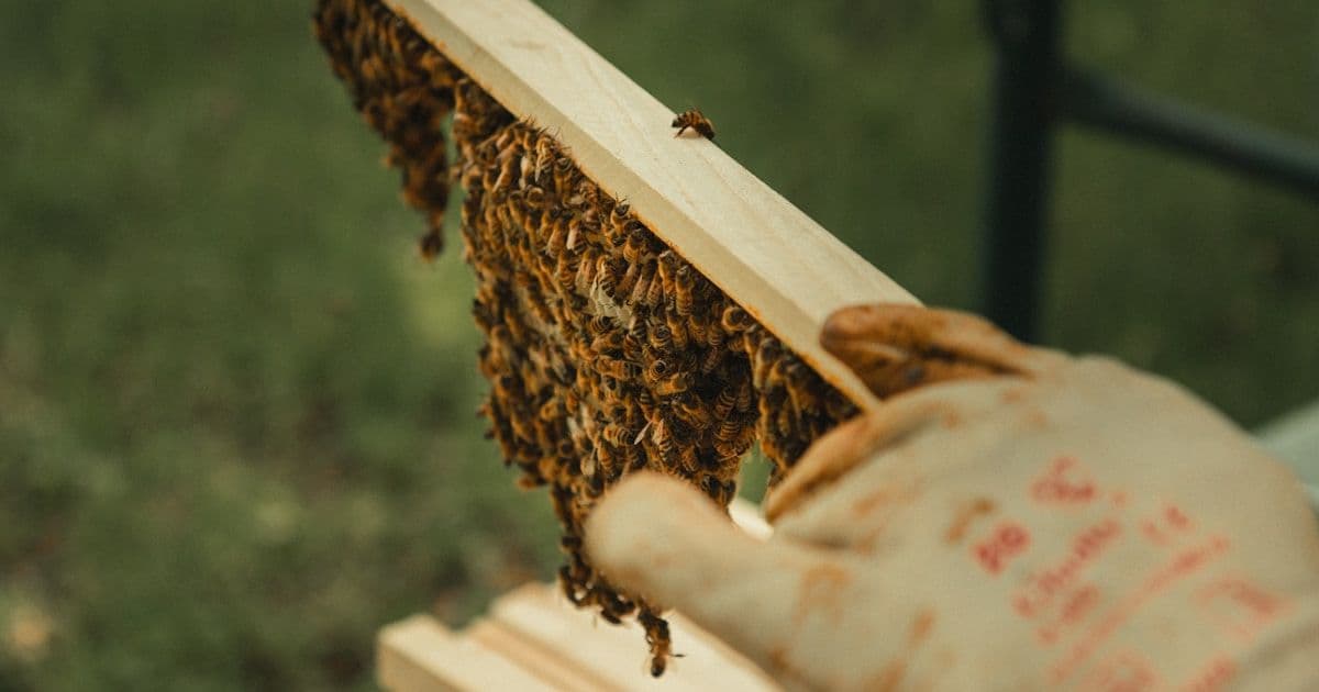 Как отвязать программы от техкарт и спасти разработчиков от дублирования