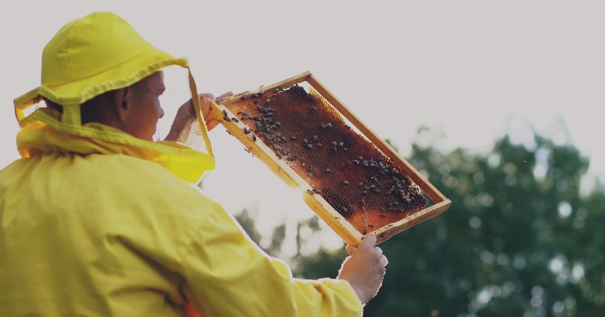Бот забывал имена: как я нашел отключенную память