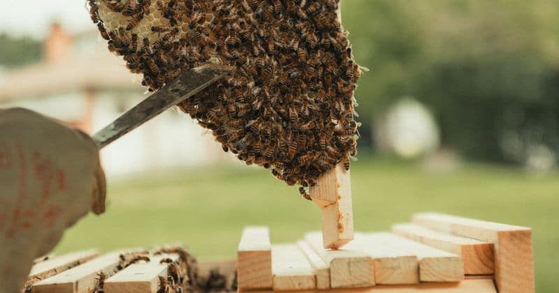 Когда дефолт становится врагом: история из bot-social-publisher