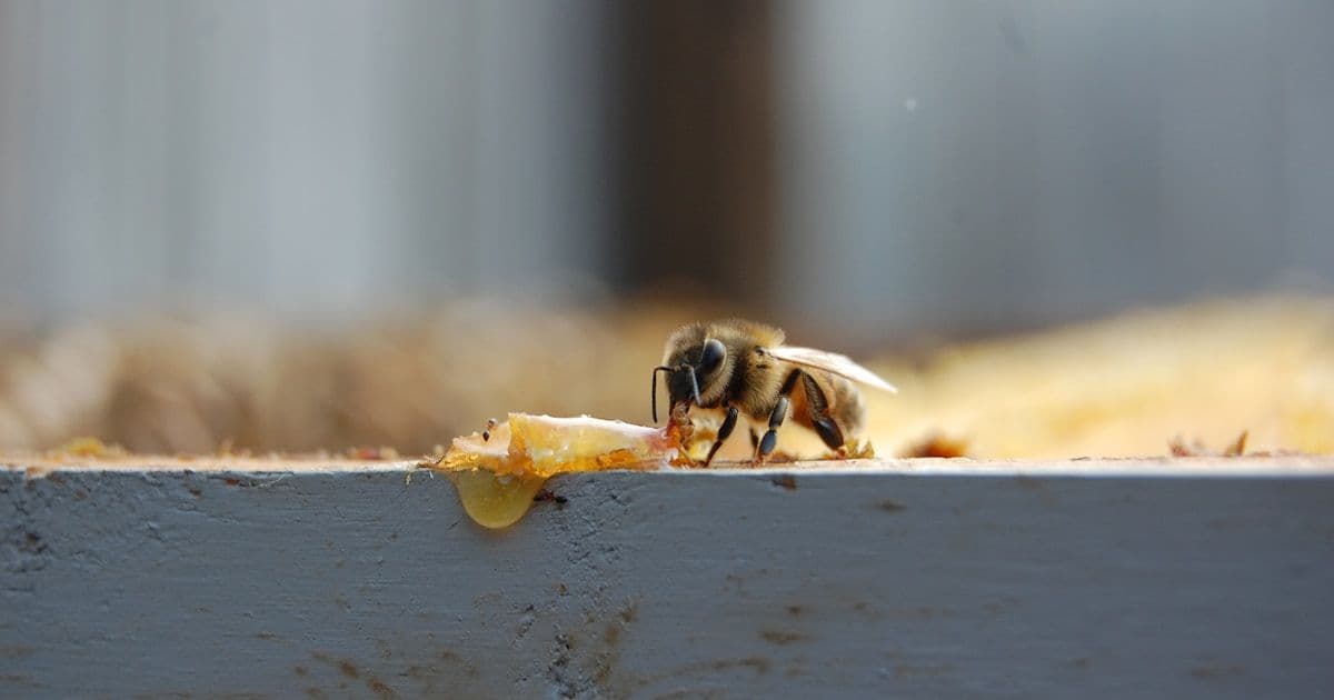 Три коммита против хаоса: как я спасал расчёты скоринга