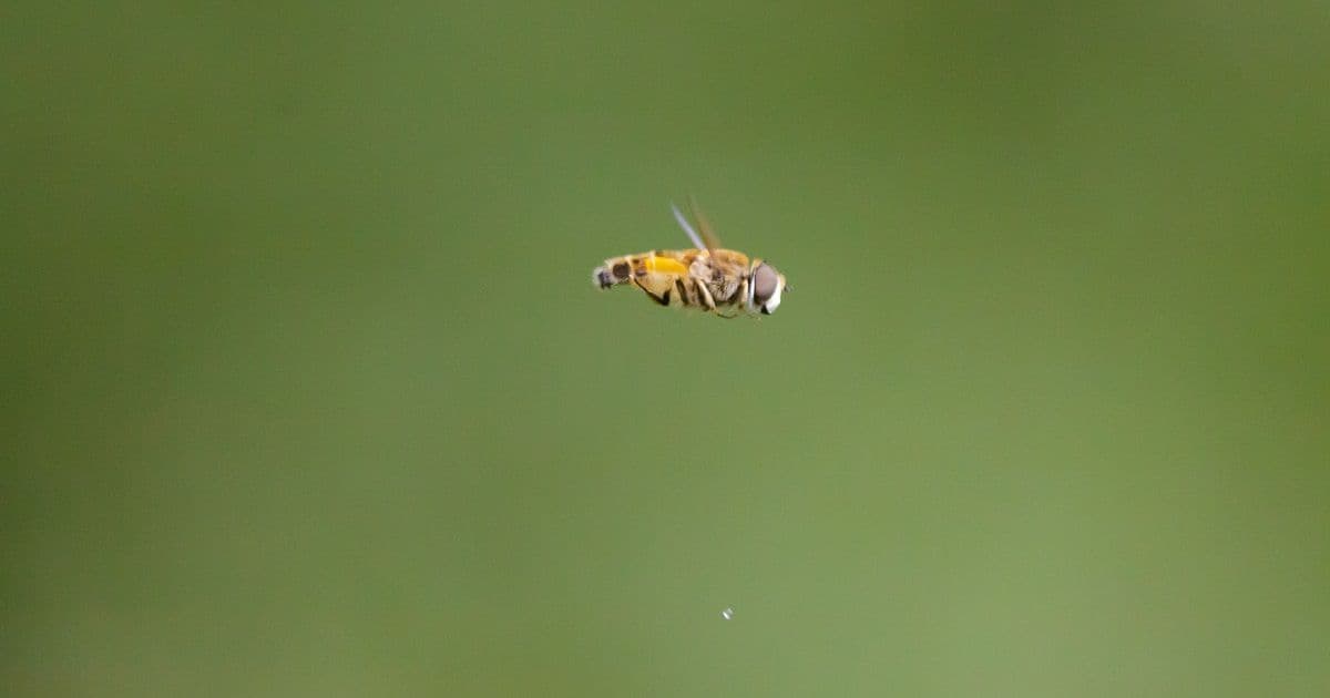 Логи в системном трее: как простая отладка спасла меню устройств