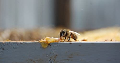 Три коммита против хаоса: как я спасал расчёты скоринга